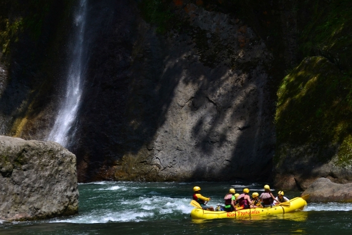 a group of people swimming in the water