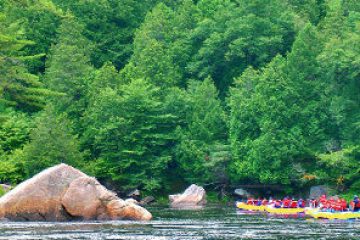 a river with a lush green forest