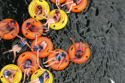 a group of orange flowers